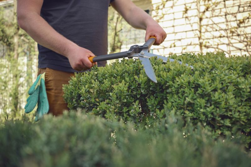 Close-up of Pruning Shears