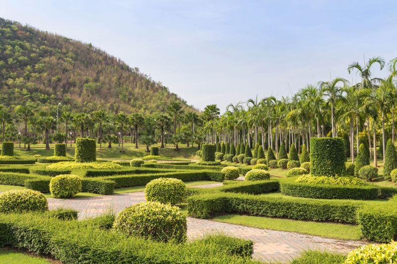 Shrubs with Defined Shapes