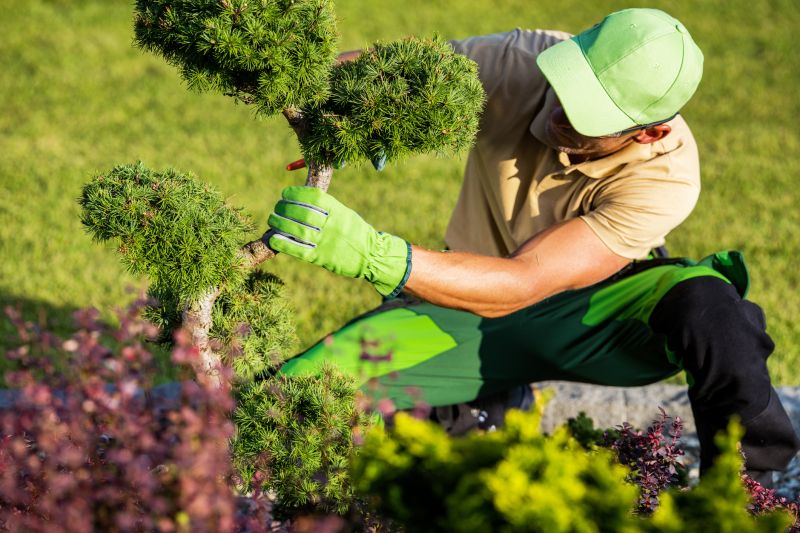 Shrub Pruning in Action