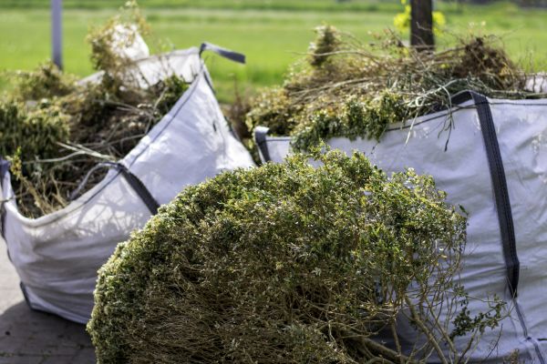 Shrubs Removal in Danville